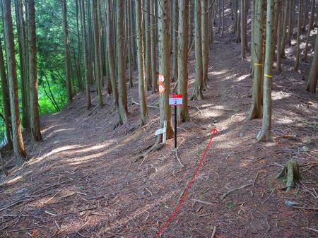 ここで分岐。どっちでも行けるけど光明山の山頂に登るため右手のピークを登っていく