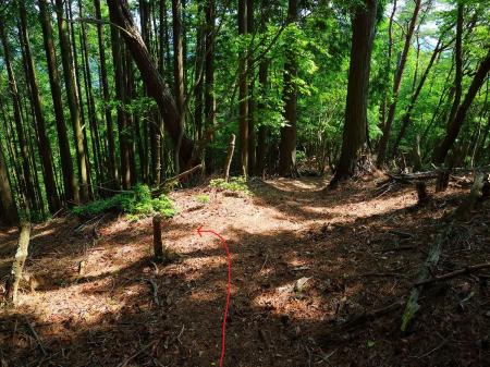 ここで分岐。直進すると違うところに行ってしまいそうなので左側を道路のほうへ下っていく