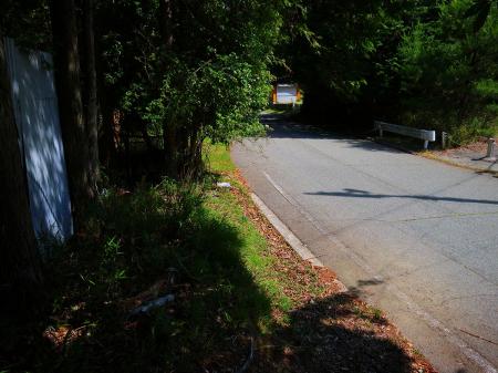 再び道4号線の道路に出る。ここは一度登って下ってくるという登山道だったのでそのまま道路を歩いたほうが楽だったかも