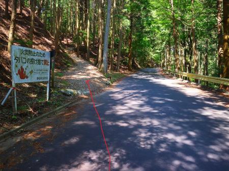 ここで道路から左側の登山道に入る。道路のヘアピンカーブをショートカットできる感じ