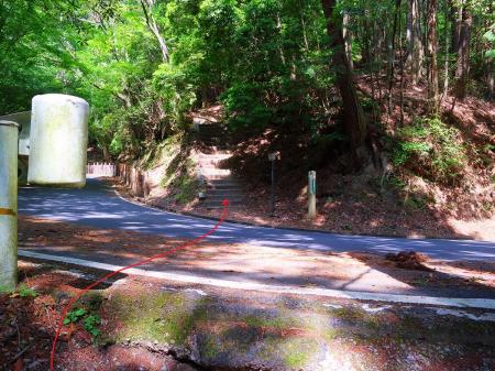 道路を横断して階段を登っていく。道路に出るのはこれが最後になって、ここから山頂までは登山道になる