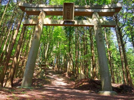 登りきると大きな鳥居があった。ここから聖地ということだろうか