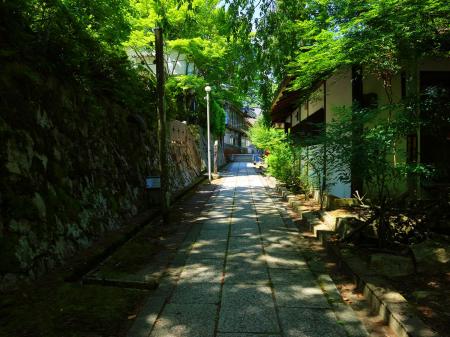 参道は相変わらずな感じで昔と雰囲気も変わってない