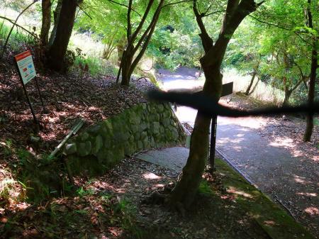 舗装道に出た。ここが上杉尾根の登山口になるのか！？このまま国道477号線のほうへ向かう