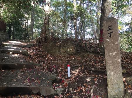 三丁らしいが一丁がわからず、結局最後に目撃したのは十八丁の中山奥之院