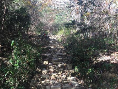 夫婦岩までちょい登りが続く