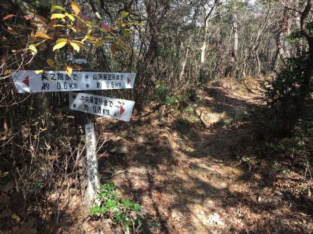 ここで中展望所が0.3kmくらいだったので寄り道してみることに