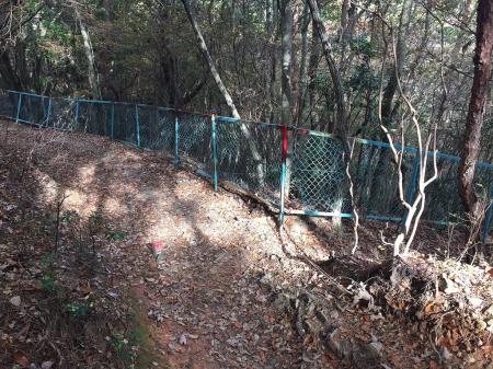 中山最高峰手前からフェンスがでてくる。ちなみにここを右へフェンス越しに降りていくと、中山・天狗塚のはず！