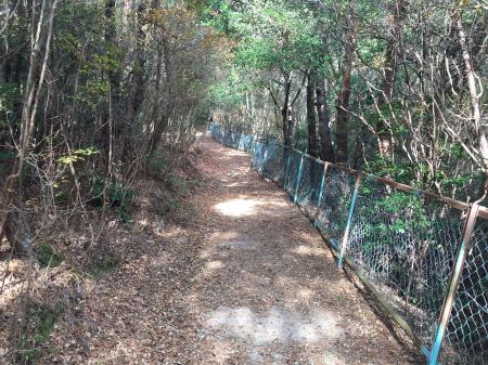 このフェンスは満願寺西山の直下くらいまで続く