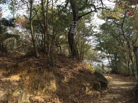 中山最高峰は従走路からちょい外れる