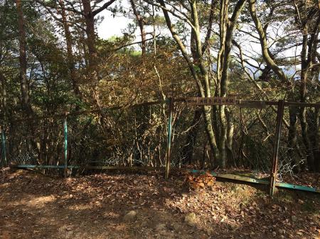 満願寺西山を目指す