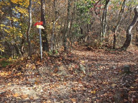 この関電道の道標までくるとあと少し