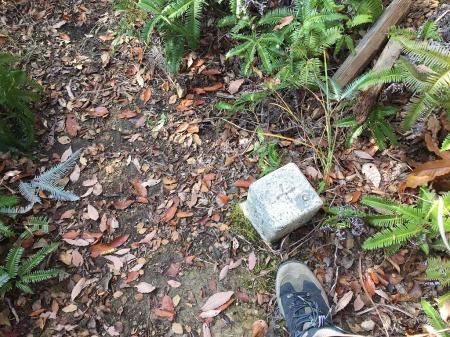 満願寺西山(361.6m)に到着。表記も看板もなく三角点のみだった