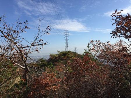 向こう側にみえる鉄塔までいくが、ここはそこまでのアップダウンではなかった