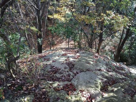 岩場の終わりのコル部まで降りてきた。
