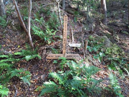 コル部の分岐。左へいくとナイトハイクで使っている藤ガ丘の住宅街に出る。今回は阪急山本駅まで降りていく