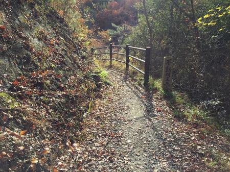ここから不動明王参道になる