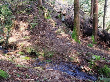 沢を渡って進んでいく。この時はまだこの先がどういうことになっているのかわからなかった