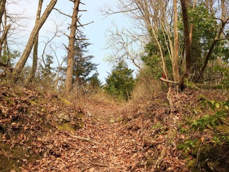 この明るくなったところで一旦は平坦な道になるが先でまた急登な登りがはじまる