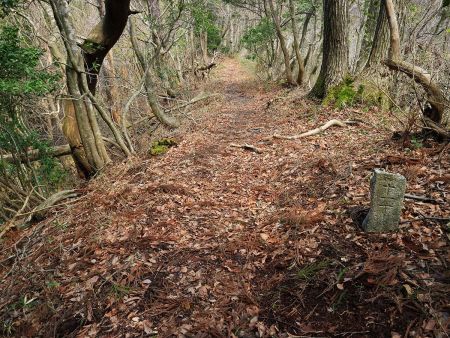 ここで十一丁となっていたが、これが減っていって一丁の先が山頂ということになる。まだ山頂まで1km以上あるんだね