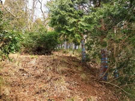 少し上が明るくなったところがあったんだけど、これはピークでもなんでもない。まだまだ登りは続く