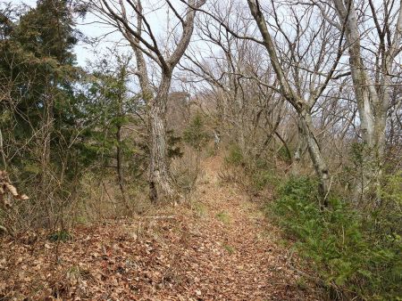 ここでも少し平坦な道になったんだけど、この先で再び登りがはじまることになる