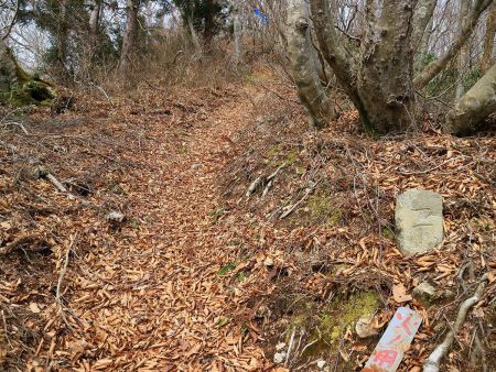 やっと一丁になったので、あと距離にして100mほどで山頂に到着するはず