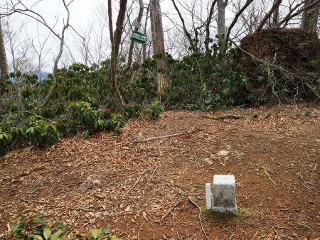 ほぼ無理矢理に樹林帯の中に入っていくと三角点があり、七七頭ヶ岳山頂(693.1m)に到着した