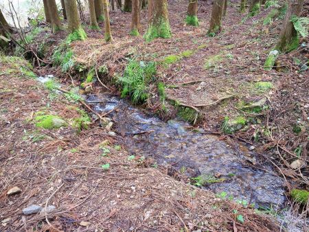 急登の下山が終わって沢を渡るところまで下ってきた。ここでホッとした気持ちになった