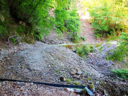 長い林道が続く。これいつまで続くんだろう