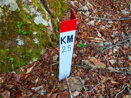 2.5KMということは、ゲートから林道を2.5KMきたということになるのか！？