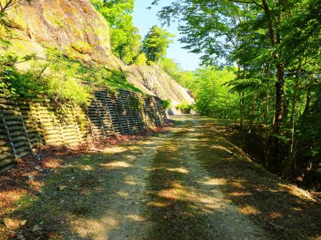 この木の壁のところまでくるとあともう少し