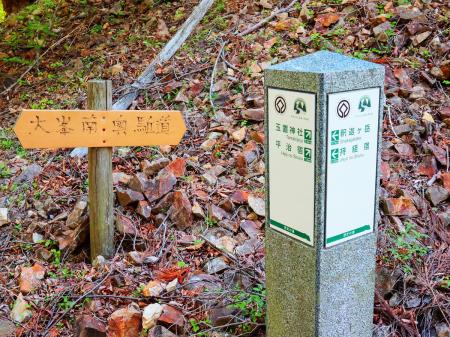 反対側の玉置神社まではまだ10km近くある。縦走する人大変そうだわ