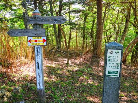 なんとか急登が終わり阿須迦利岳まで登った。まだ体力はあるのでぶっ続けで歩く