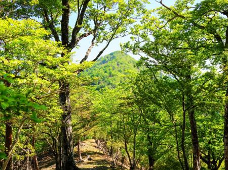証誠無漏岳からの下り。おそらく中央に見えてる次に登るピークが涅槃岳だろう。結構高いなあ