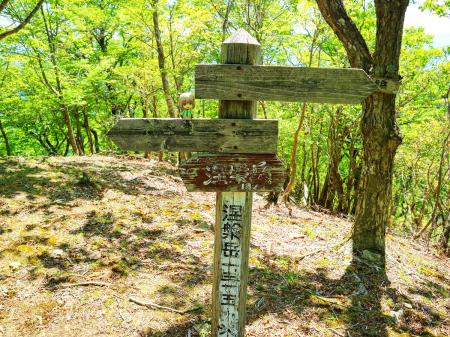 涅槃岳と雪村あおいちゃんを撮影。一応今回の目的地の一つだったからね