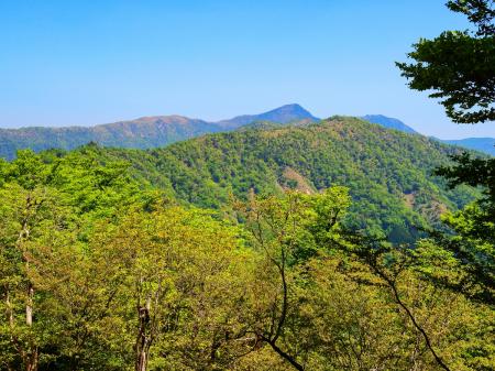 手前に見えてるのが次行く地蔵岳とその奥は形的に釈迦ヶ岳だろう。釈迦ヶ岳の左側のはげた部分がおそらく古田の森付近なはず。ここからハッキリ見えた