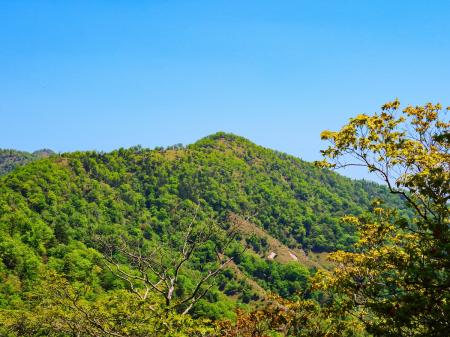 地蔵岳アップ。あのはげた部分を歩いてみたいな。きっと展望良さそうだし歩いていて気持ちよさそう。ただ、まだまだ遠い感じがした