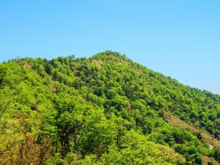 そろそろ地蔵岳が近くなってきたけど、まだもう少しあるかなこの稜線を左から回り込んでいかないといけない