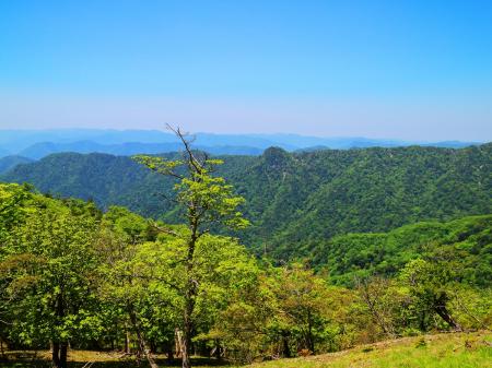 ここで北西側の展望が見えた。あのでっぱった山はなんだろうなっと思いながら。見てみると釈迦ヶ岳の稜線につながってるようにも見えたけど、無名の山かな！？