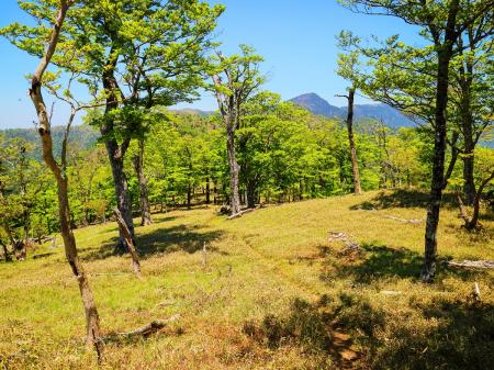天狗の稽古場までは地蔵岳を北側に少しくだっていったところにある。この付近は笹の高原地帯になっていて雰囲気がいい