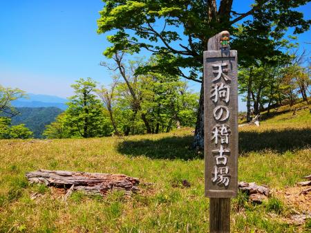 せっかくなので雪村あおいちゃんと天狗の稽古場を撮影してみる。ちょっと雪村あおいちゃんが小さいかな