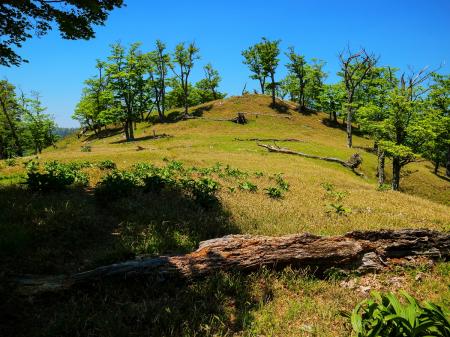 最後にしつこいくらい天狗の稽古場の全体を撮影。さようなら天狗の稽古場