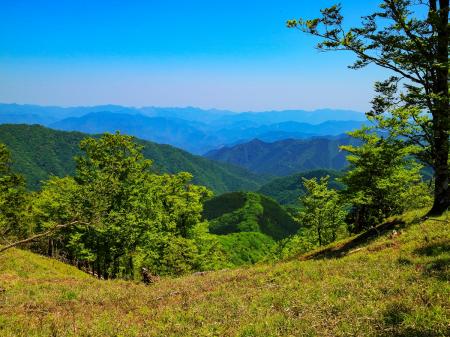 行きは気づかなかったけど、谷と山々が見える展望地があったので撮影しておいた。まあ何の山が見えてるかわからんのだけどね