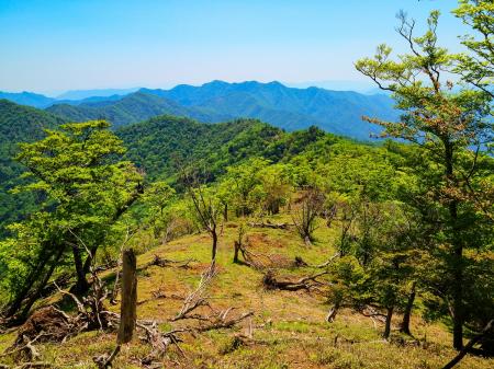これから戻る稜線と山々と大峰らしい道を撮影。倒木が多いのは大峰の醍醐味かな