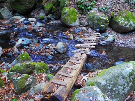 この今にも折れそうな橋を渡るんだけど滑らないか心配なんだよね