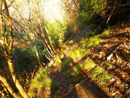 沢筋でありながらほとんどが高巻のトラバースルートになってる