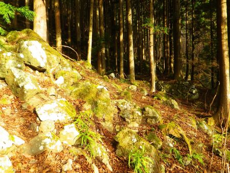 人工的な石垣があったりするんだけど、ここは昔何かあったのかな！？