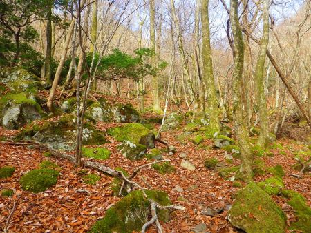 だだっ広いところがあったりするけどそこらじゅうにテープがあるので迷うことはない