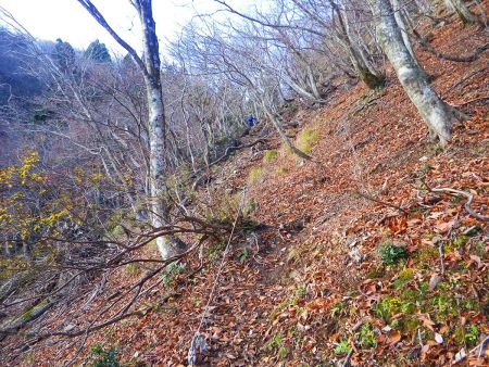 この付近からいよいよ急登になって標高を稼いでいく。これまでは徐々に標高を稼いでた感じだったんだよね